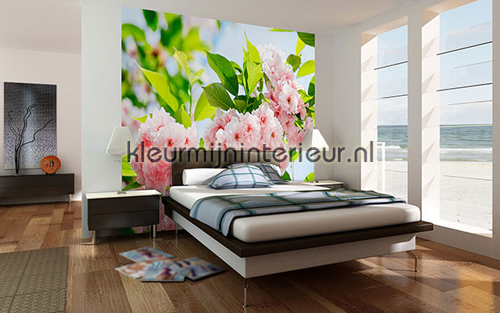 Sakura Blossom fotomurales 00133 Ideal-Decor Poster Ideal Decor